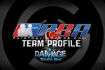 Team-Profile-Damage